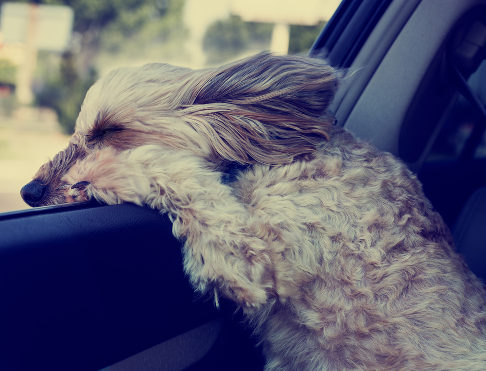 Tips for Driving in a Strong Wind Tips for Driving in a Strong Wind